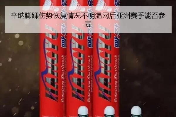 辛纳脚踝伤势恢复情况不明温网后亚洲赛季能否参赛
