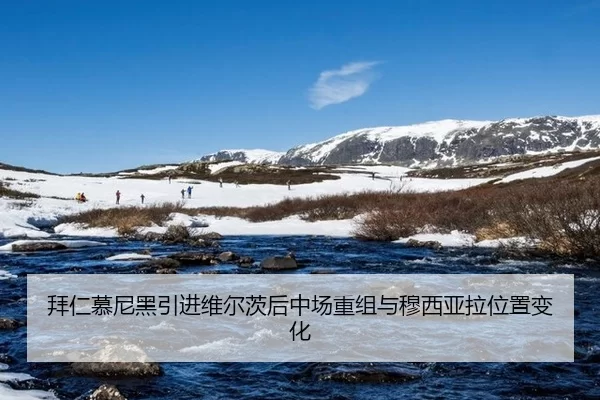 拜仁慕尼黑引进维尔茨后中场重组与穆西亚拉位置变化